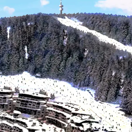 Arendo Snow в Grand Monastery * Pamporovo